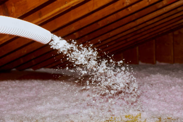 Best Insulation Maintenance and Repair in Shawano, WI