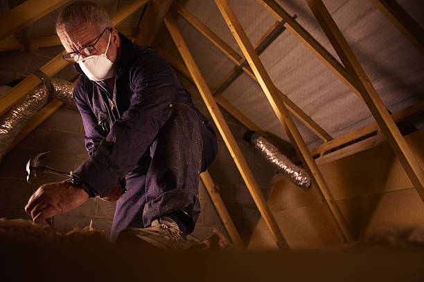 Best Specialty Insulation in Shawano, WI